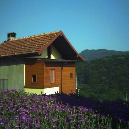 B&B Cip E Ciop Miazzina Экстерьер фото