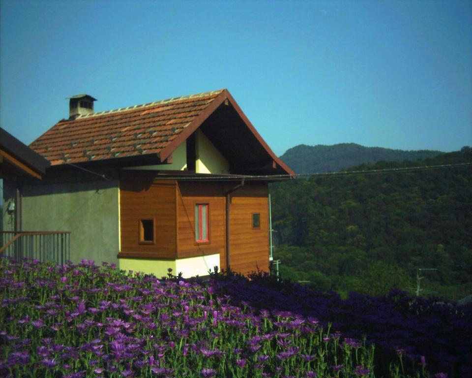B&B Cip E Ciop Miazzina Экстерьер фото