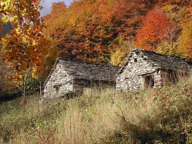 B&B Cip E Ciop Miazzina Экстерьер фото